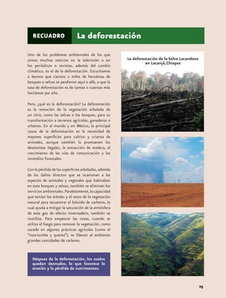 RECUADRO                   La deforestación
Uno de los problemas ambientales de los que
oímos muchas noticias en la televisión o en
los periódicos o revistas, además del cambio
climático, es el de la deforestación. Escuchamos
o leemos que cientos o miles de hectáreas de
bosques o selvas se perdieron aquí o allá, o que la
tasa de deforestación es de tantas o cuantas más
hectáreas por año.

Pero, ¿qué es la deforestación? La deforestación
es la remoción de la vegetación arbolada de
un sitio, como las selvas o los bosques, para su
transformación a terrenos agrícolas, ganaderos o
urbanos. En el mundo y en México, la principal
causa de la deforestación es la necesidad de
mayores superficies para cultivo y crianza de
animales, aunque también la promueven los
desmontes ilegales, la extracción de madera, el
crecimiento de las vías de comunicación y los
incendios forestales.

Con la pérdida de las superficies arboladas, además
de los daños directos que se ocasionan a las
especies de animales y vegetales que habitaban
en esos bosques y selvas, también se eliminan los
servicios ambientales. Paralelamente, la capacidad
que tenían los árboles y el resto de la vegetación
natural para secuestrar el bióxido de carbono, lo
cual ayuda a mitigar la saturación de la atmósfera
de este gas de efecto invernadero, también se
inutiliza. Para empeorar las cosas, cuando se
utiliza el fuego para remover la vegetación, como
sucede en algunas prácticas agrícolas (como el
“roza-tumba y quema”), se liberan al ambiente
grandes cantidades de carbono.


   Déspues de la deforestación, los suelos
   quedan desnudos, lo que favorece la
   erosión y la pérdida de nutrimentos.


                                                      25
 