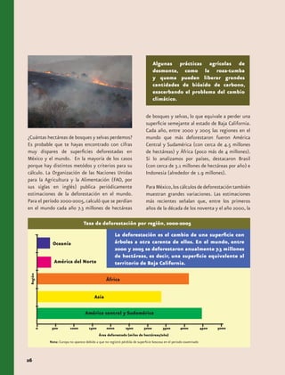 Algunas prácticas agrícolas de
                                                                                desmonte, como la roza-tumba
                                                                                y quema pueden liberar grandes
                                                                                cantidades de bióxido de carbono,
                                                                                exacerbando el problema del cambio
                                                                                climático.

                                                                            de bosques y selvas, lo que equivale a perder una
                                                                            superficie semejante al estado de Baja California.
                                                                            Cada año, entre 2000 y 2005 las regiones en el
¿Cuántas hectáreas de bosques y selvas perdemos?                            mundo que más deforestaron fueron América
Es probable que te hayas encontrado con cifras                              Central y Sudamérica (con cerca de 4.5 millones
muy dispares de superficies deforestadas en                                 de hectáreas) y África (poco más de 4 millones).
México y el mundo. En la mayoría de los casos                               Si lo analizamos por países, destacaron Brasil
porque hay distintos metódos y criterios para su                            (con cerca de 3.1 millones de hectáreas por año) e
cálculo. La Organización de las Naciones Unidas                             Indonesia (alrededor de 1.9 millones).
para la Agricultura y la Alimentación (FAO, por
sus siglas en inglés) publica periódicamente                                Para México, los cálculos de deforestación también
estimaciones de la deforestación en el mundo.                               muestran grandes variaciones. Las estimaciones
Para el período 2000-2005, calculó que se perdían                           más recientes señalan que, entre los primeros
en el mundo cada año 7.3 millones de hectáreas                              años de la década de los noventa y el año 2000, la

                                 Tasa de deforestación por región, 2000-2005
                                                      La deforestación es el cambio de una superficie con
                                                      árboles a otra carente de ellos. En el mundo, entre
                                                      2000 y 2005 se deforestaron anualmente 7.3 millones
                                                      de hectáreas, es decir, una superficie equivalente al
                                                      territorio de Baja California.




          Nota: Europa no aparece debido a que no registró pérdida de superficie boscosa en el periodo examinado



26
 