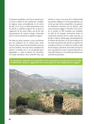 Los bosques templados, como los de oyamel, pino      pierdan al menos una parte de la biodiversidad
y encino, también se han perdido por completo        que podrían albergar en condiciones óptimas, así
en algunas zonas, principalmente en el centro        como que sean menos susceptibles a recuperarse
del país. En el 2002, se había desmontado cerca      de fenómenos naturales que los afectan, tales
de 27% de su superficie original. Por su parte, la   como huracanes, plagas e incendios, entre otros.
vegetación de las zonas áridas, una de las más       En el mundo, la FAO considera que alrededor
representativas de nuestro paisaje, conservaba       de 36% de los bosques remanentes están en
para el mismo año 77% de la superficie original.     condiciones prístinas, de los cuales cada año se
                                                     pierden o alteran, desde 1990, aproximadamente
No todas las selvas, bosques y otros ecosistemas     6 millones de hectáreas. En el caso de México, de
que aún podemos ver en nuestro país, están           las selvas remanentes sólo 35% de su superficie se
intactos. Puesto que en muchos de ellos se extraen   considera primaria o sin deterioro evidente, 65%
recursos (madera, tierra de monte, ejemplares de     de los bosques, 92% de los matorrales (aunque en
plantas o animales, etc.) o se cría ganado estan     este caso podría ser menor el porcentaje pero es
degradados o, como lo llaman los científicos,        más dificil detectar si ha sufrido perturbaciones)
en estado secundario. Esta condición hace que        y 61% de los pastizales.


 Un ejemplo de reducción de la superficie de los ecosistemas naturales ocurre en el valle
 de Metztitlán, donde la vegetación de las zonas bajas ha sido remplazada por nogales.




30
 