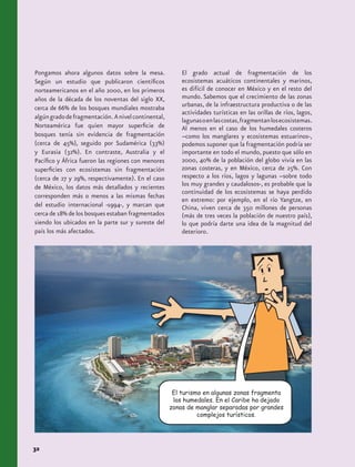 Pongamos ahora algunos datos sobre la mesa.              El grado actual de fragmentación de los
Según un estudio que publicaron científicos              ecosistemas acuáticos continentales y marinos,
norteamericanos en el año 2000, en los primeros          es difícil de conocer en México y en el resto del
años de la década de los noventas del siglo XX,          mundo. Sabemos que el crecimiento de las zonas
cerca de 66% de los bosques mundiales mostraba           urbanas, de la infraestructura productiva o de las
                                                         actividades turísticas en las orillas de ríos, lagos,
algún grado de fragmentación. A nivel continental,       lagunas o en las costas, fragmentan los ecosistemas.
Norteamérica fue quien mayor superficie de               Al menos en el caso de los humedales costeros
bosques tenía sin evidencia de fragmentación             –como los manglares y ecosistemas estuarinos-,
(cerca de 45%), seguido por Sudamérica (33%)             podemos suponer que la fragmentación podría ser
y Eurasia (32%). En contraste, Australia y el            importante en todo el mundo, puesto que sólo en
Pacífico y África fueron las regiones con menores        2000, 40% de la población del globo vivía en las
superficies con ecosistemas sin fragmentación            zonas costeras, y en México, cerca de 25%. Con
(cerca de 27 y 29%, respectivamente). En el caso         respecto a los ríos, lagos y lagunas –sobre todo
de México, los datos más detallados y recientes          los muy grandes y caudalosos-, es probable que la
                                                         continuidad de los ecosistemas se haya perdido
corresponden más o menos a las mismas fechas
                                                         en extremo: por ejemplo, en el río Yangtze, en
del estudio internacional -1994-, y marcan que           China, viven cerca de 350 millones de personas
cerca de 18% de los bosques estaban fragmentados         (más de tres veces la población de nuestro país),
siendo los ubicados en la parte sur y sureste del        lo que podría darte una idea de la magnitud del
país los más afectados.                                  deterioro.




                                                      El turismo en algunas zonas fragmenta
                                                      los humedales. En el Caribe ha dejado
                                                     zonas de manglar separadas por grandes
                                                               complejos turísticos.




32
 