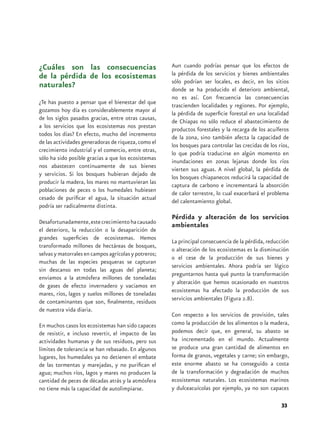¿Cuáles son las consecuencias                         Aun cuando podrías pensar que los efectos de
de la pérdida de los ecosistemas                      la pérdida de los servicios y bienes ambientales
                                                      sólo podrían ser locales, es decir, en los sitios
naturales?                                            donde se ha producido el deterioro ambiental,
                                                      no es así. Con frecuencia las consecuencias
¿Te has puesto a pensar que el bienestar del que
                                                      trascienden localidades y regiones. Por ejemplo,
gozamos hoy día es considerablemente mayor al
                                                      la pérdida de superficie forestal en una localidad
de los siglos pasados gracias, entre otras causas,
                                                      de Chiapas no sólo reduce el abastecimiento de
a los servicios que los ecosistemas nos prestan
                                                      productos forestales y la recarga de los acuíferos
todos los días? En efecto, mucho del incremento
                                                      de la zona, sino también afecta la capacidad de
de las actividades generadoras de riqueza, como el
                                                      los bosques para controlar las crecidas de los ríos,
crecimiento industrial y el comercio, entre otras,
                                                      lo que podría traducirse en algún momento en
sólo ha sido posible gracias a que los ecosistemas
                                                      inundaciones en zonas lejanas donde los ríos
nos abastecen continuamente de sus bienes
                                                      vierten sus aguas. A nivel global, la pérdida de
y servicios. Si los bosques hubieran dejado de
                                                      los bosques chiapanecos reducirá la capacidad de
producir la madera, los mares no mantuvieran las
                                                      captura de carbono e incrementará la absorción
poblaciones de peces o los humedales hubiesen
                                                      de calor terrestre, lo cual exacerbará el problema
cesado de purificar el agua, la situación actual
                                                      del calentamiento global.
podría ser radicalmente distinta.
                                                      Pérdida y alteración de los servicios
Desafortunadamente, este crecimiento ha causado
                                                      ambientales
el deterioro, la reducción o la desaparición de
grandes superficies de ecosistemas. Hemos
                                                      La principal consecuencia de la pérdida, reducción
transformado millones de hectáreas de bosques,
                                                      o alteración de los ecosistemas es la disminución
selvas y matorrales en campos agrícolas y potreros;
                                                      o el cese de la producción de sus bienes y
muchas de las especies pesqueras se capturan
                                                      servicios ambientales. Ahora podría ser lógico
sin descanso en todas las aguas del planeta;
                                                      preguntarnos hasta qué punto la transformación
enviamos a la atmósfera millones de toneladas
                                                      y alteración que hemos ocasionado en nuestros
de gases de efecto invernadero y vaciamos en
                                                      ecosistemas ha afectado la producción de sus
mares, ríos, lagos y suelos millones de toneladas
de contaminantes que son, finalmente, residuos        servicios ambientales (Figura 2.8).
de nuestra vida diaria.
                                                      Con respecto a los servicios de provisión, tales
En muchos casos los ecosistemas han sido capaces      como la producción de los alimentos o la madera,
de resistir, e incluso revertir, el impacto de las    podemos decir que, en general, su abasto se
actividades humanas y de sus residuos, pero sus       ha incrementado en el mundo. Actualmente
límites de tolerancia se han rebasado. En algunos     se produce una gran cantidad de alimentos en
lugares, los humedales ya no detienen el embate       forma de granos, vegetales y carne; sin embargo,
de las tormentas y marejadas, y no purifican el       este enorme abasto se ha conseguido a costa
agua; muchos ríos, lagos y mares no producen la       de la transformación y degradación de muchos
cantidad de peces de décadas atrás y la atmósfera     ecosistemas naturales. Los ecosistemas marinos
no tiene más la capacidad de autolimpiarse.           y dulceacuícolas por ejemplo, ya no son capaces

                                                                                                      33
 