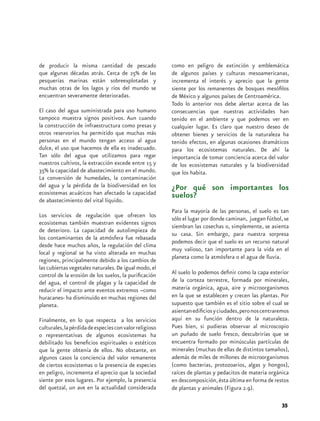 de producir la misma cantidad de pescado                 como en peligro de extinción y emblemática
que algunas décadas atrás. Cerca de 25% de las           de algunos países y culturas mesoamericanas,
pesquerías marinas están sobreexplotadas y               incrementa el interés y aprecio que la gente
muchas otras de los lagos y ríos del mundo se            siente por los remanentes de bosques mesófilos
encuentran severamente deterioradas.                     de México y algunos países de Centroamérica.
                                                         Todo lo anterior nos debe alertar acerca de las
El caso del agua suministrada para uso humano            consecuencias que nuestras actividades han
tampoco muestra signos positivos. Aun cuando             tenido en el ambiente y que podemos ver en
la construcción de infraestructura como presas y         cualquier lugar. Es claro que nuestro deseo de
otros reservorios ha permitido que muchas más            obtener bienes y servicios de la naturaleza ha
personas en el mundo tengan acceso al agua               tenido efectos, en algunas ocasiones dramáticos
dulce, el uso que hacemos de ella es inadecuado.         para los ecosistemas naturales. De ahí la
Tan sólo del agua que utilizamos para regar              importancia de tomar conciencia acerca del valor
nuestros cultivos, la extracción excede entre 15 y       de los ecosistemas naturales y la biodiversidad
35% la capacidad de abastecimiento en el mundo.          que los habita.
La conversión de humedales, la contaminación
del agua y la pérdida de la biodiversidad en los         ¿Por qué son importantes los
ecosistemas acuáticos han afectado la capacidad          suelos?
de abastecimiento del vital líquido.
                                                         Para la mayoría de las personas, el suelo es tan
Los servicios de regulación que ofrecen los
                                                         sólo el lugar por donde caminan, juegan fútbol, se
ecosistemas también muestran evidentes signos
                                                         siembran las cosechas o, simplemente, se asienta
de deterioro. La capacidad de autolimpieza de
                                                         su casa. Sin embargo, para nuestra sorpresa
los contaminantes de la atmósfera fue rebasada
                                                         podemos decir que el suelo es un recurso natural
desde hace muchos años, la regulación del clima
                                                         muy valioso, tan importante para la vida en el
local y regional se ha visto alterada en muchas
                                                         planeta como la atmósfera o el agua de lluvia.
regiones, principalmente debido a los cambios de
las cubiertas vegetales naturales. De igual modo, el
control de la erosión de los suelos, la purificación     Al suelo lo podemos definir como la capa exterior
del agua, el control de plagas y la capacidad de         de la corteza terrestre, formada por minerales,
reducir el impacto ante eventos extremos –como           materia orgánica, agua, aire y microorganismos
huracanes- ha disminuido en muchas regiones del          en la que se establecen y crecen las plantas. Por
planeta.                                                 supuesto que también es el sitio sobre el cual se
                                                         asientan edificios y ciudades, pero nos centraremos
Finalmente, en lo que respecta a los servicios           aquí en su función dentro de la naturaleza.
culturales, la pérdida de especies con valor religioso   Pues bien, si pudieras observar al microscopio
o representativas de algunos ecosistemas ha              un puñado de suelo fresco, descubrirías que se
debilitado los beneficios espirituales o estéticos       encuentra formado por minúsculas partículas de
que la gente obtenía de ellos. No obstante, en           minerales (muchas de ellas de distintos tamaños),
algunos casos la conciencia del valor remanente          además de miles de millones de microorganismos
de ciertos ecosistemas o la presencia de especies        (como bacterias, protozoarios, algas y hongos),
en peligro, incrementa el aprecio que la sociedad        raíces de plantas y pedacitos de materia orgánica
siente por esos lugares. Por ejemplo, la presencia       en descomposición, ésta última en forma de restos
del quetzal, un ave en la actualidad considerada         de plantas y animales (Figura 2.9).

                                                                                                        35
 