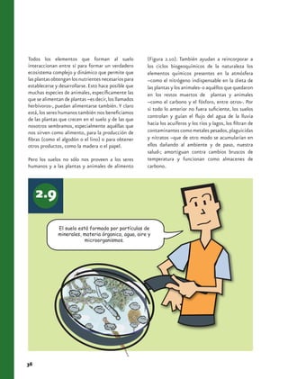 Todos los elementos que forman al suelo               (Figura 2.10). También ayudan a reincorporar a
interaccionan entre sí para formar un verdadero       los ciclos biogeoquímicos de la naturaleza los
ecosistema complejo y dinámico que permite que        elementos químicos presentes en la atmósfera
las plantas obtengan los nutrientes necesarios para   –como el nitrógeno indispensable en la dieta de
establecerse y desarrollarse. Esto hace posible que   las plantas y los animales- o aquéllos que quedaron
muchas especies de animales, específicamente las      en los restos muertos de plantas y animales
que se alimentan de plantas –es decir, los llamados   –como el carbono y el fósforo, entre otros-. Por
herbívoros-, puedan alimentarse también. Y claro
                                                      si todo lo anterior no fuera suficiente, los suelos
está, los seres humanos también nos beneficiamos
                                                      controlan y guían el flujo del agua de la lluvia
de las plantas que crecen en el suelo y de las que
nosotros sembramos, especialmente aquéllas que        hacia los acuíferos y los ríos y lagos, los filtran de
nos sirven como alimento, para la producción de       contaminantes como metales pesados, plaguicidas
fibras (como el algodón o el lino) o para obtener     y nitratos –que de otro modo se acumularían en
otros productos, como la madera o el papel.           ellos dañando al ambiente y de paso, nuestra
                                                      salud-; amortiguan contra cambios bruscos de
Pero los suelos no sólo nos proveen a los seres       temperatura y funcionan como almacenes de
humanos y a las plantas y animales de alimento        carbono.




              El suelo está formado por partículas de
              minerales, materia órganica, agua, aire y
                          microorganismos.




36
 