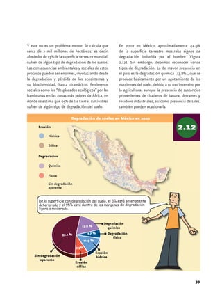 Y este no es un problema menor. Se calcula que         En 2002 en México, aproximadamente 44.9%
cerca de 2 mil millones de hectáreas, es decir,        de la superficie terrestre mostraba signos de
alrededor de 15% de la superficie terrestre mundial,   degradación inducida por el hombre (Figura
sufren de algún tipo de degradación de los suelos.     2.12). Sin embargo, debemos reconocer varios
Las consecuencias ambientales y sociales de estos      tipos de degradación. La de mayor presencia en
procesos pueden ser enormes, involucrando desde        el país es la degradación química (17.8%), que se
la degradación y pérdida de los ecosistemas y          produce básicamente por un agotamiento de los
su biodiversidad, hasta dramáticos fenómenos           nutrientes del suelo, debido a su uso intensivo por
sociales como los “desplazados ecológicos” por las     la agricultura, aunque la presencia de sustancias
hambrunas en las zonas más pobres de África, en        provenientes de tiraderos de basura, derrames y
donde se estima que 65% de las tierras cultivables     residuos industriales, así como presencia de sales,
sufren de algún tipo de degradación del suelo.         también pueden ocasionarla.

                            Degradación de suelos en México en 2002




                                   17.8 %

                      55.1 %          5.7 %
                                    11.9 %




                                                                                                      39
 