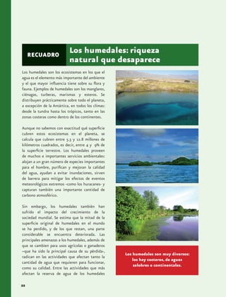 RECUADRO
                           Los humedales: riqueza
                           natural que desaparece
Los humedales son los ecosistemas en los que el
agua es el elemento más importante del ambiente
y el que mayor influencia tiene sobre su flora y
fauna. Ejemplos de humedales son los manglares,
ciénagas, turberas, marismas y esteros. Se
distribuyen prácticamente sobre todo el planeta,
a excepción de la Antártica, en todos los climas:
desde la tundra hasta los trópicos, tanto en las
zonas costeras como dentro de los continentes.

Aunque no sabemos con exactitud qué superficie
cubren estos ecosistemas en el planeta, se
calcula que cubren entre 5.3 y 12.8 millones de
kilómetros cuadrados, es decir, entre 4 y 9% de
la superficie terrestre. Los humedales proveen
de muchos e importantes servicios ambientales:
alojan a un gran número de especies importantes
para el hombre, purifican y mejoran la calidad
del agua, ayudan a evitar inundaciones, sirven
de barrera para mitigar los efectos de eventos
meteorológicos extremos -como los huracanes- y
capturan también una importante cantidad de
carbono atmosférico.

Sin embargo, los humedales también han
sufrido el impacto del crecimiento de la
sociedad mundial. Se estima que la mitad de la
superficie original de humedales en el mundo
se ha perdido, y de los que restan, una parte
considerable se encuentra deteriorada. Las
principales amenazas a los humedales, además de
que se cambien para usos agrícolas o ganaderos
–que ha sido la principal causa de su pérdida-,
                                                    Los humedales son muy diversos:
radican en las actividades que afectan tanto la
                                                        los hay costeros, de aguas
cantidad de agua que requieren para funcionar,
                                                         salobres o continentales.
como su calidad. Entre las actividades que más
afectan la reserva de agua de los humedales

22
 