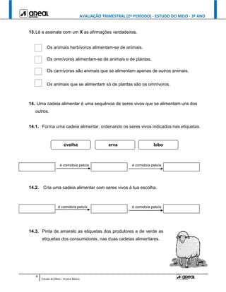 AVALIAÇÃO TRIMESTRAL (2º PERÍODO) - ESTUDO DO MEIO - 3º ANO
6
Estudo do Meio – Ensino Básico
13.Lê e assinala com um X as afirmações verdadeiras.
Os animais herbívoros alimentam-se de animais.
Os omnívoros alimentam-se de animais e de plantas.
Os carnívoros são animais que se alimentam apenas de outros animais.
Os animais que se alimentam só de plantas são os omnívoros.
14. Uma cadeia alimentar é uma sequência de seres vivos que se alimentam uns dos
outros.
14.1. Forma uma cadeia alimentar, ordenando os seres vivos indicados nas etiquetas.
é comido/a pelo/a é comido/a pelo/a
14.2. Cria uma cadeia alimentar com seres vivos à tua escolha.
é comido/a pelo/a é comido/a pelo/a
14.3. Pinta de amarelo as etiquetas dos produtores e de verde as
etiquetas dos consumidores, nas duas cadeias alimentares.
erva lobo
ovelha
 