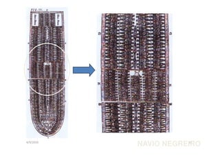 4/9/2010 NAVIO NEGREI1R0 O 
 