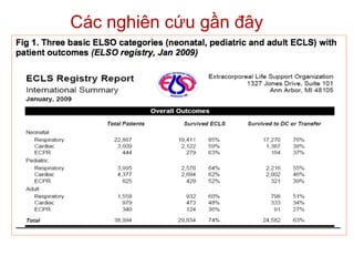 Các nghiên cứu gần đây
 