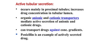 Active tubular secretion:
• occurs mainly in proximal tubules; increases
drug concentration in tubular lumen.
• organic anionic and cationic transporters
mediate active secretion of anionic and
cationic drugs.
• can transport drugs against conc. gradients.
 Penicillin is an example of actively secreted
drug.
 
