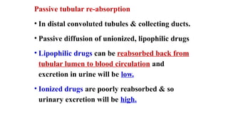 Passive tubular re-absorption
• In distal convoluted tubules & collecting ducts.
• Passive diffusion of unionized, lipophilic drugs
• Lipophilic drugs can be reabsorbed back from
tubular lumen to blood circulation and
excretion in urine will be low.
• Ionized drugs are poorly reabsorbed & so
urinary excretion will be high.
 