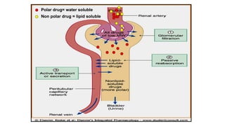 Polar drug= water soluble
Non polar drug = lipid soluble
 