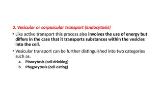 3. Vesicular or corpuscular transport (Endocytosis)
• Like active transport this process also involves the use of energy but
differs in the case that it transports substances within the vesicles
into the cell.
• Vesicular transport can be further distinguished into two categories
such as.
a. Pinocytosis (cell drinking)
b. Phagocytosis (cell eating)
 