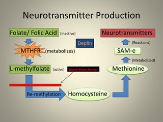 Capstone Presentation MTHFR | PPTX