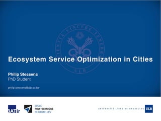 Ecosystem Service Optimization in Cities
