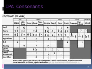 TranscriptionThere are two kinds of transcription