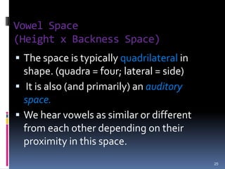specifies the segments that are contrastive in the language