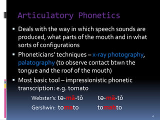 Understand the nature of consonants and vowels
