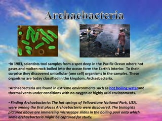 biology.. kingdoms | PPTX