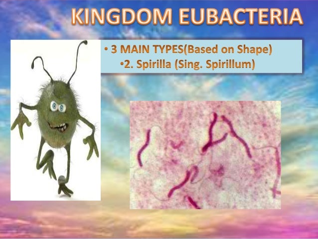biology-kingdoms