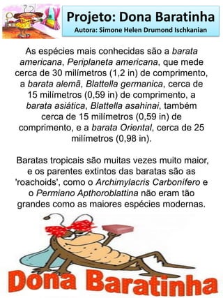Projeto: Dona Baratinha
Autora: Simone Helen Drumond Ischkanian
As espécies mais conhecidas são a barata
americana, Periplaneta americana, que mede
cerca de 30 milímetros (1,2 in) de comprimento,
a barata alemã, Blattella germanica, cerca de
15 milímetros (0,59 in) de comprimento, a
barata asiática, Blattella asahinai, também
cerca de 15 milímetros (0,59 in) de
comprimento, e a barata Oriental, cerca de 25
milímetros (0,98 in).
Baratas tropicais são muitas vezes muito maior,
e os parentes extintos das baratas são as
'roachoids', como o Archimylacris Carbonífero e
o Permiano Apthoroblattina não eram tão
grandes como as maiores espécies modernas.
 