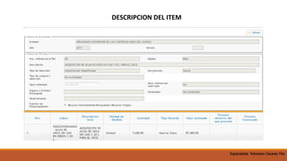 DESCRIPCION DEL ITEM
Especialista Yohnston Cáceres Tito
 
