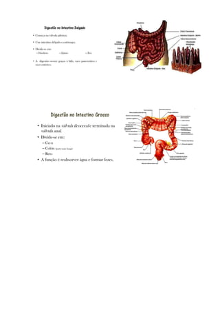 2 planodeaula rejanesilva