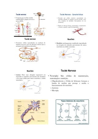 2 planodeaula rejanesilva