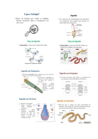 2 planodeaula rejanesilva
