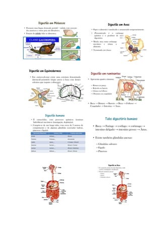 2 planodeaula rejanesilva