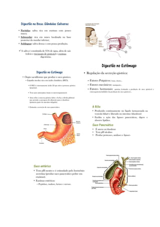 2 planodeaula rejanesilva