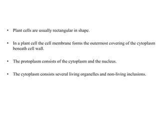 2 Plant Cell physiology and their role tt | PPT