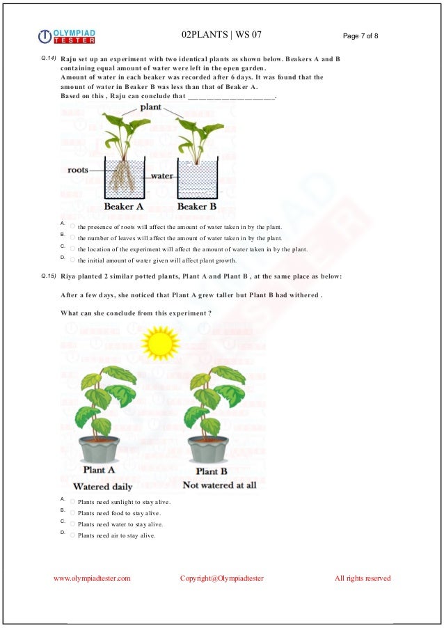 Class 2 Science Olympiad Sample paper on Plants Set 02