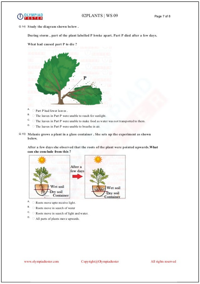 Class essay example image