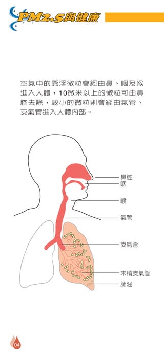 PM2.5與健康




     空氣中的懸浮微粒會經由鼻、咽及喉
     進入人體，10微米以上的微粒可由鼻
     腔去除，較小的微粒則會經由氣管、
     支氣管進入人體內部。




                  鼻腔
                  咽

                  喉

                  氣管



                  支氣管



                  末梢支氣管
                  肺泡




04
 