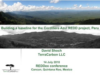Building a baseline for the Cordillera Azul REDD project, Peru David Shoch TerraCarbon LLC 14 July 2010 REDDex conference Cancun, Quintana Roo, Mexico 