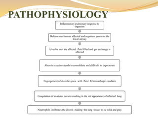 PATHOPHYSIOLOGY
Inflammatory pulmonary response to
organism
Defense mechanism affected and organism penetrate the
lower airway
Alveolar sacs are affected fluid filled and gas exchange is
affected
Alveolar exudates tends to consolidate and difficult to expectorate
Engorgement of alveolar space with fluid & hemorrhagic exudates
Coagulation of exudates occurs resulting in the red appearance of affected lung
Neutrophils infiltrates the alveoli making the lung tissue to be solid and gray
 