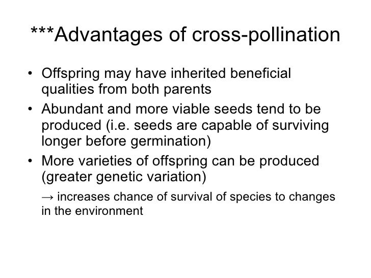 Chapter 16 Reproduction in Plants Lesson 2 Pollination