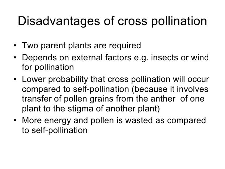 Chapter 16 Reproduction in Plants Lesson 2 Pollination