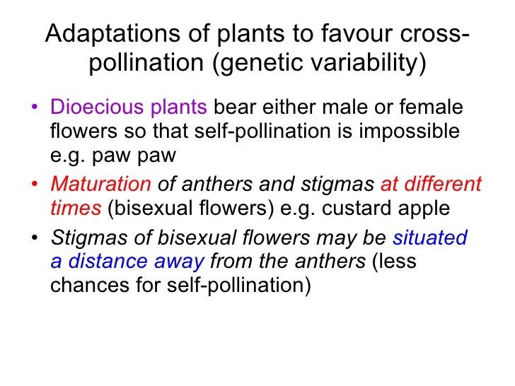 Chapter 16 Reproduction in Plants Lesson 2 Pollination