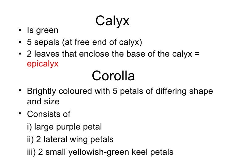 Chapter 16 Reproduction in Plants Lesson 2 Pollination