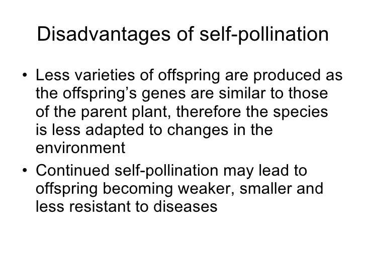 Chapter 16 Reproduction in Plants Lesson 2 Pollination