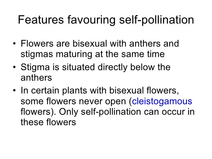 Chapter 16 Reproduction in Plants Lesson 2 Pollination