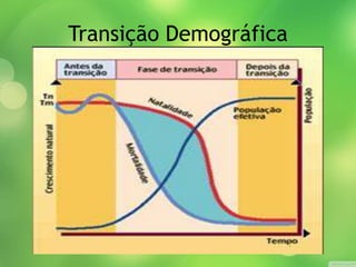 Transição Demográfica
 