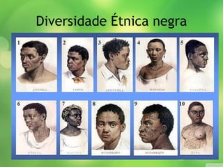 Diversidade Étnica negra
 