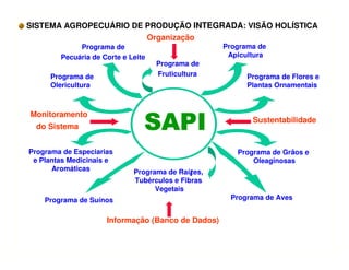 SISTEMA AGROPECUÁRIO DE PRODUÇÃO INTEGRADA: VISÃO HOLÍSTICA
Programa de Especiarias
e Plantas Medicinais e
Aromáticas
Programa de
Olericultura
Programa de Flores e
Plantas Ornamentais
Programa de Grãos e
Oleaginosas
Programa de Raízes,
Tubérculos e Fibras
Vegetais
í
Programa de
Fruticultura
Organização
Informação (Banco de Dados)
Monitoramento
do Sistema
Sustentabilidade
SAPISAPISAPISAPI
Programa de
Pecuária de Corte e Leite
Programa de
Apicultura
Programa de AvesPrograma de Suínos
 