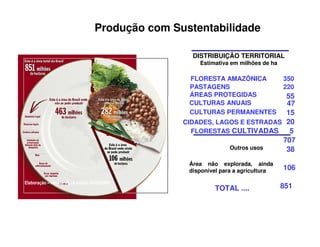 Produção com Sustentabilidade
IBGE e CONAB – adaptação
MAPA
Elaboração – revista VEJA edição 03/03/2004
DISTRIBUIÇÃO TERRITORIAL
Estimativa em milhões de ha
FLORESTA AMAZÔNICA 350
PASTAGENS 220
ÁREAS PROTEGIDAS 55
CULTURAS ANUAIS 47
CULTURAS PERMANENTES 15
CIDADES, LAGOS E ESTRADAS 20
FLORESTAS CULTIVADAS 5
707
Outros usos 38
Área não explorada, ainda
disponível para a agricultura 106
TOTAL .... 851
 