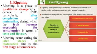 2 Post harvest Physiology of Horticulture produce.pptx