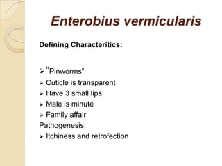 Enterobius vermicularis
Defining Characteritics:
“Pinworms”
 Cuticle is transparent
 Have 3 small lips
 Male is minute
 Family affair
Pathogenesis:
 Itchiness and retrofection
 