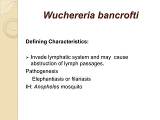 Wuchereria bancrofti
Defining Characteristics:
 Invade lymphatic system and may cause
abstruction of lymph passages.
Pathogenesis
Elephantiasis or filariasis
IH: Anopheles mosquito
 