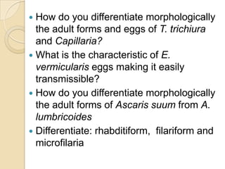  How do you differentiate morphologically
the adult forms and eggs of T. trichiura
and Capillaria?
 What is the characteristic of E.
vermicularis eggs making it easily
transmissible?
 How do you differentiate morphologically
the adult forms of Ascaris suum from A.
lumbricoides
 Differentiate: rhabditiform, filariform and
microfilaria
 